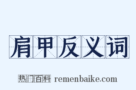 肩甲反义词是什么意思的图片